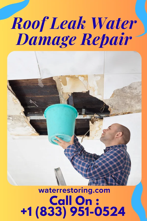 Roof Leak Water Damage Repair in Jerome, IL
