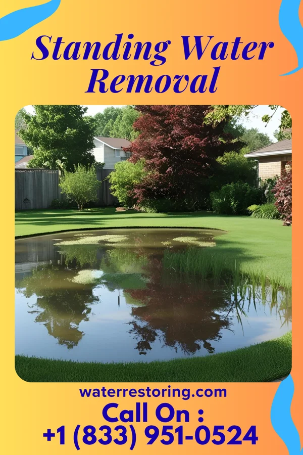 Standing Water Removal in Jerome, IL